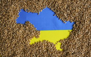Ukraine-Russia, Ukraine, Grains, Wheat,