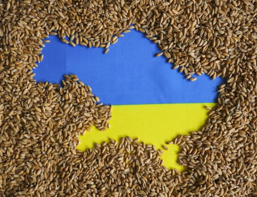 The Battle for Fertile Ground: Ukraine-Russia Conflict Places a Spotlight on the Need to Bioengineer the World’s Grains
